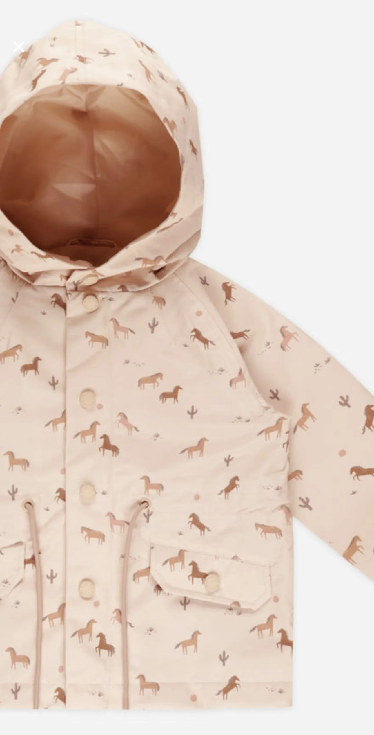 Raincoat || Horses